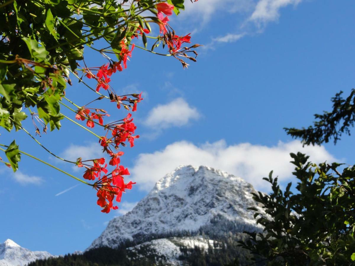 Gastehaus Luise Apartment Oberstdorf Ngoại thất bức ảnh